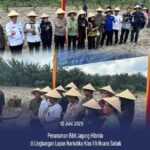 Ketua DPRD Hj. Zilawati, S.H Ikut Program Akselerasi Menteri Impas dan Ketahanan Pangan Menanam Jagung Hibrida di Lapas Kelas IIB